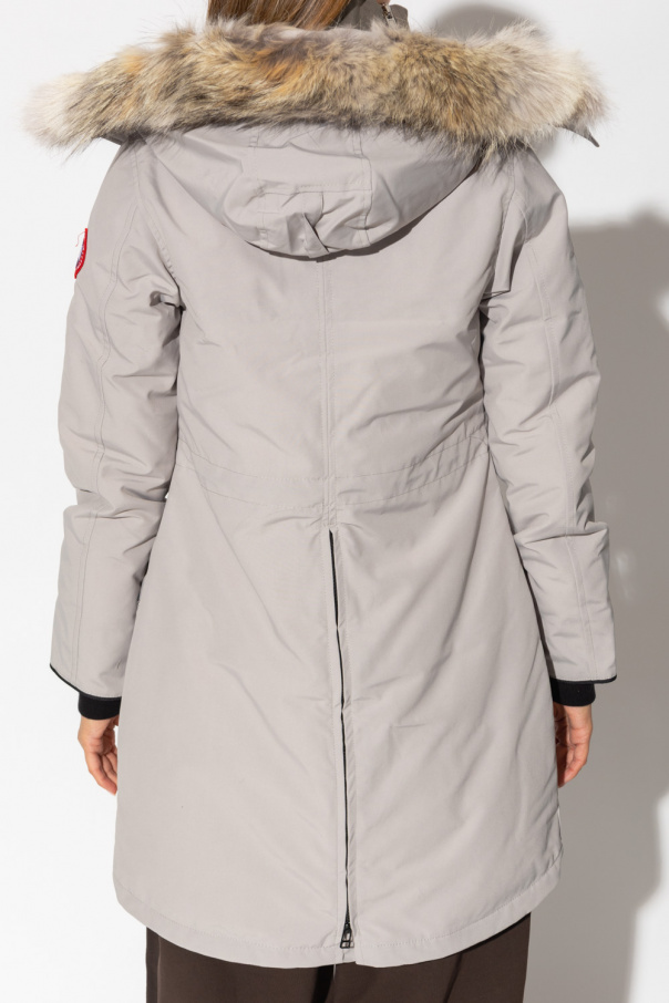 Canada goose 2024 rossclair parka xxl